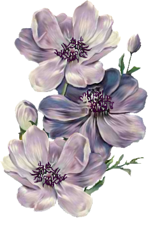 060207 (1).png